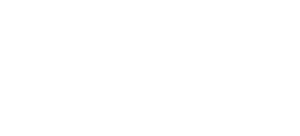 Rioolherstel Assen VCA_logo